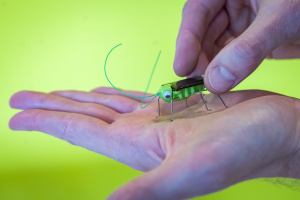 Ein kleiner Solar-Roboter-Käfer auf einer Hand.